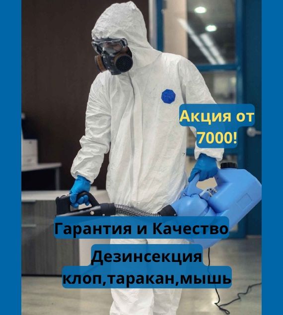 Таракан клоп мышь дезинсекция дезинфекция дератизация насеком