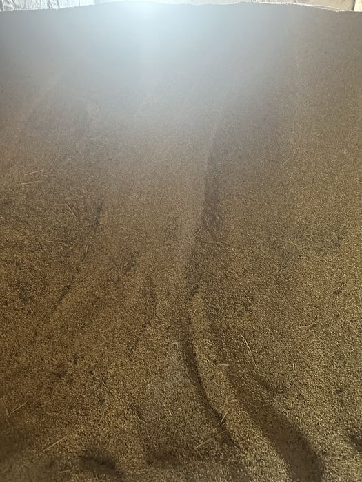 Продам сухой  ячмень