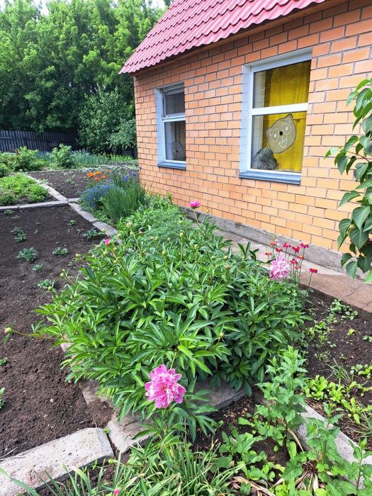 Продается дача. Общество Геолог.