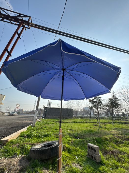 Bir ayoqliy zontiklar