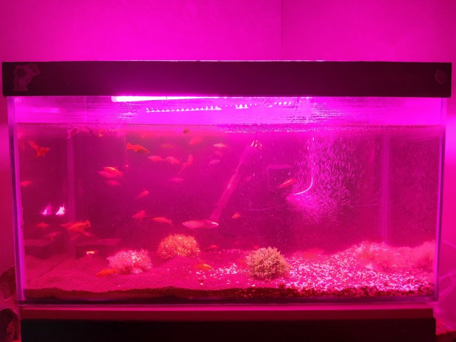 Аквариум 120 литр