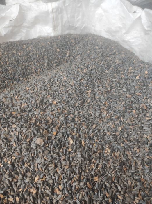 De Vânzare Floarea Soarelui