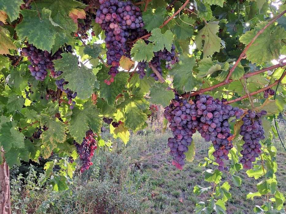 Собственик продава двуетажна масивна къща