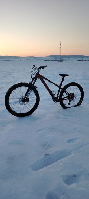 Canyon stoic 3 custom