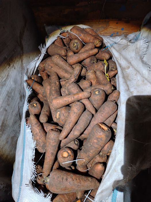 Продам едовую марковь и свёклу.