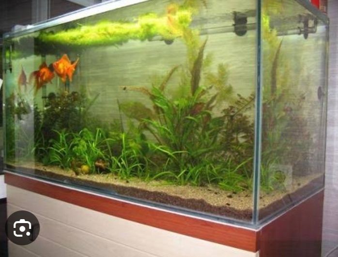 Акварим буюрта асосида