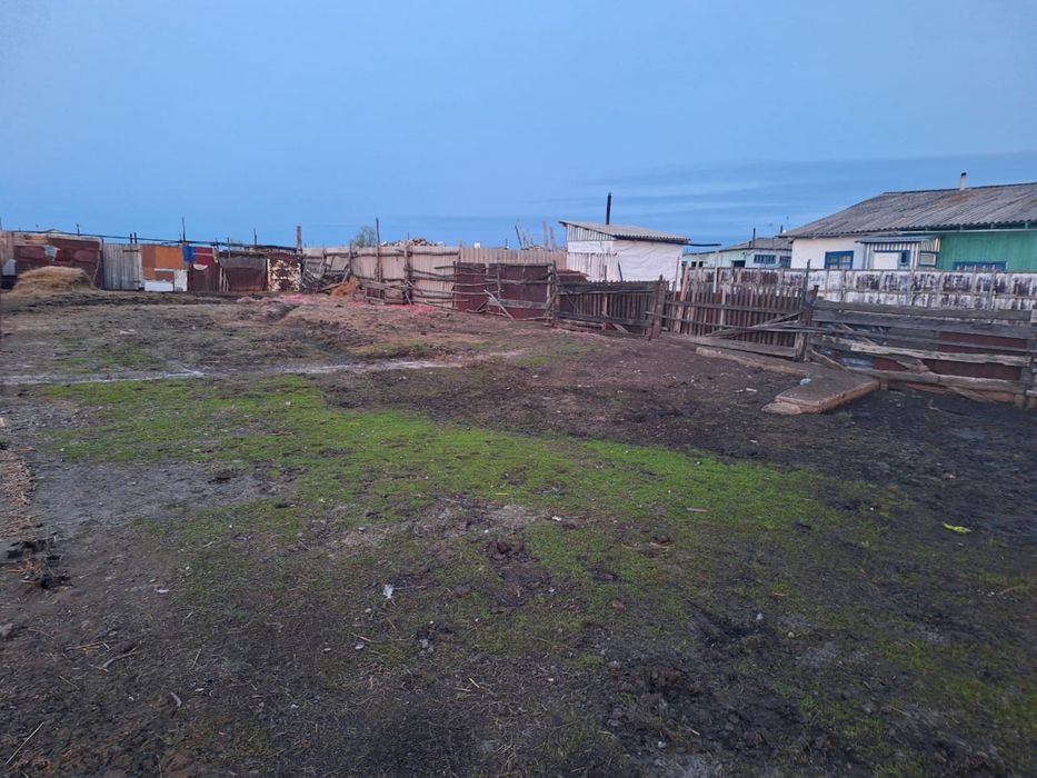 Продам дом и все остальное вместе  , есть торг