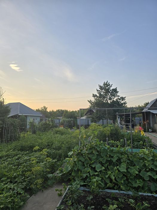 Продам дачу Телецентр Вишенка-3, 6 соток