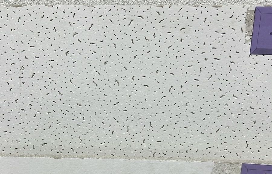 Продам армстронг