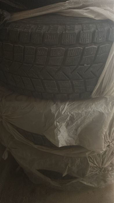 Продам щина Очень хорошее состояние