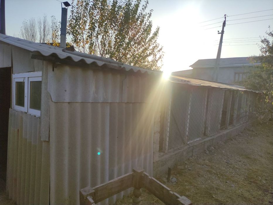 Yangi Oʻzbekiston bogʻiga yaqin joyda yer!