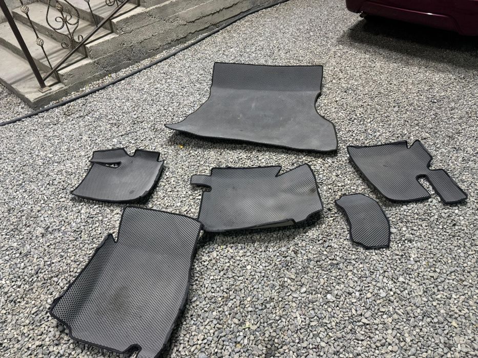 Ева полик нексия