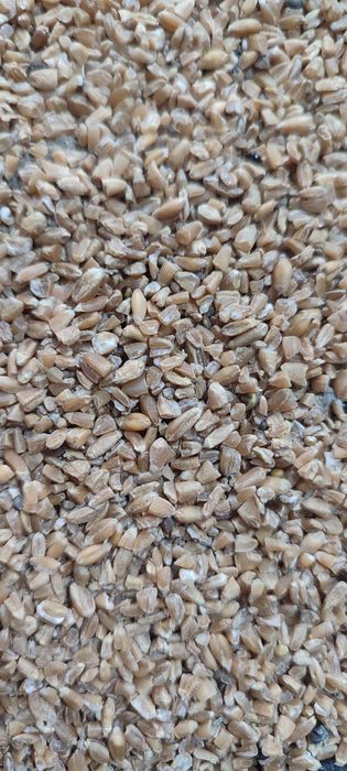 Сечка пшеничная 30 кг