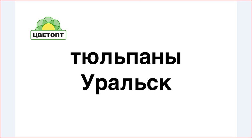 Тюльпаны оптом Уральск