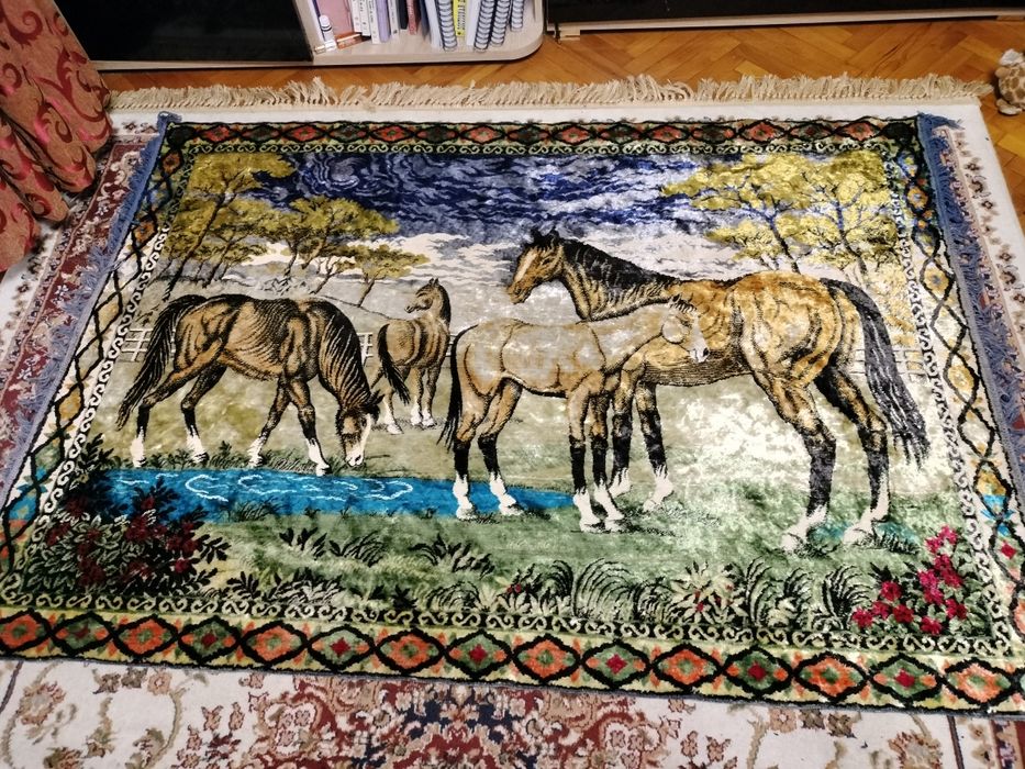 Vând carpeta perete