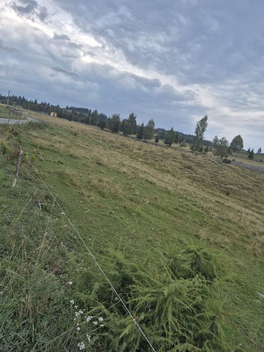 Teren de vânzare, pe Delut, Fundu Moldovei, Suceava