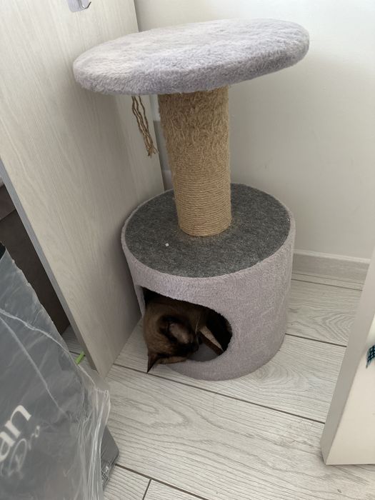 Домик для котов