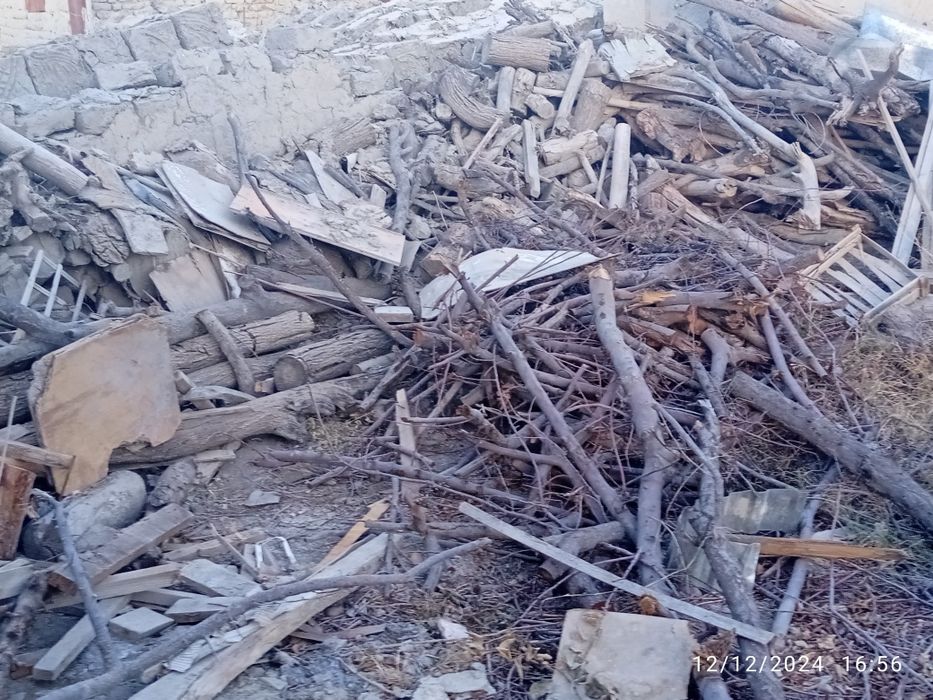 Oʻtin daraxtniki sotiladi