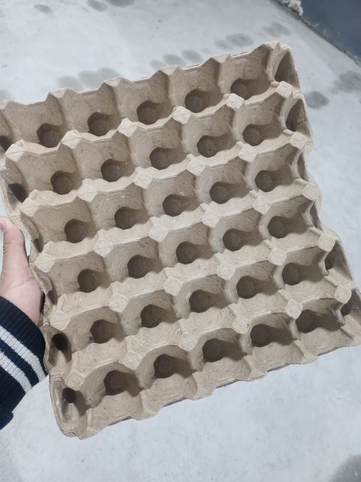 Флейка для яйц с новым оборудованием и качеством