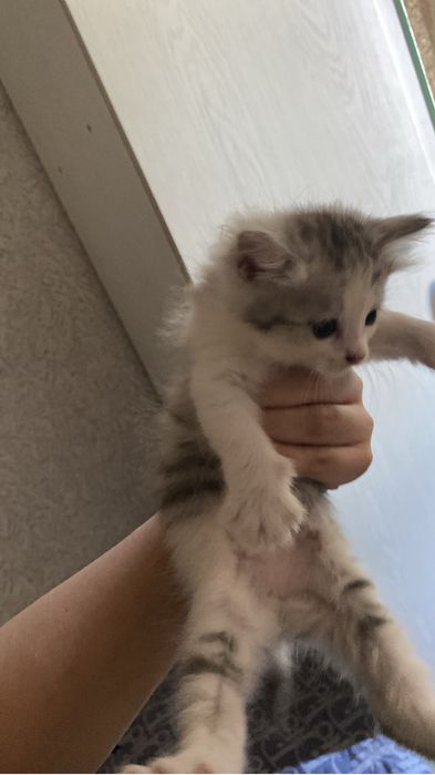 бесплтно в добры