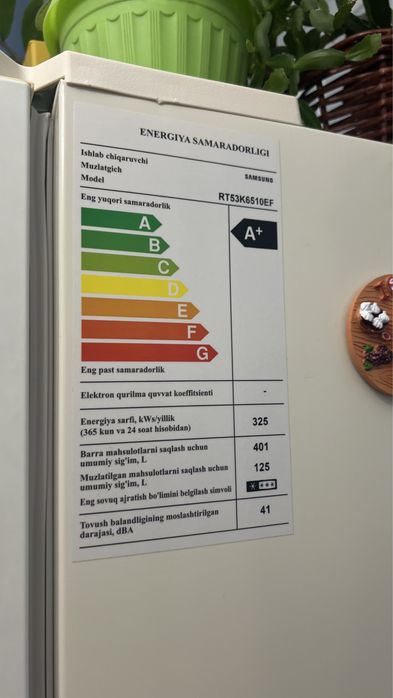 Холодильник Samsung RT53K6510EF
