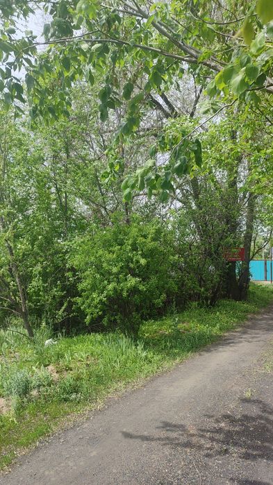 Продам участок в с/ Любитель природы