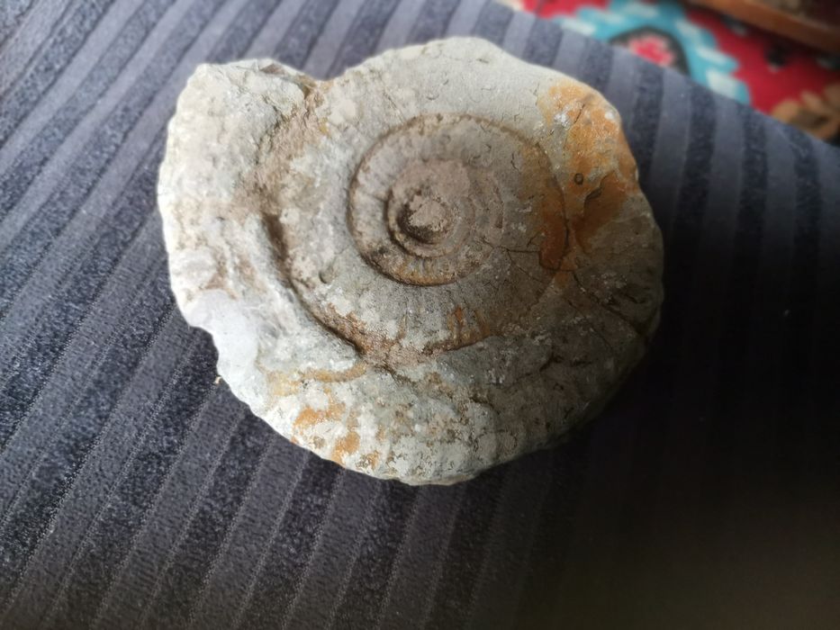 Фолис от древността