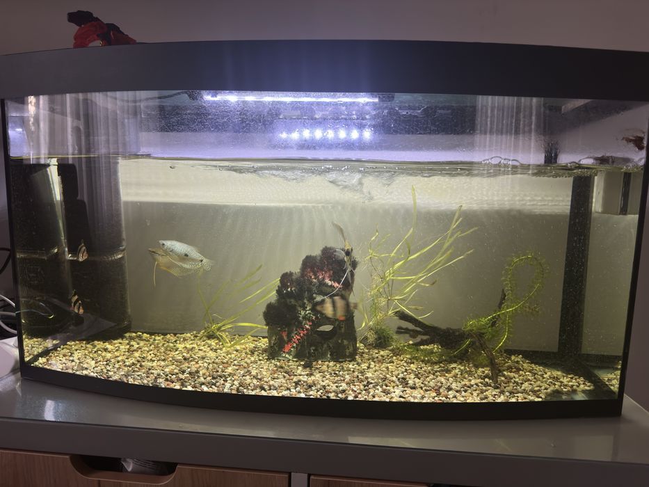 3 Аквариума с рыбами и филтрами