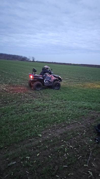 Linhai aniversare 300