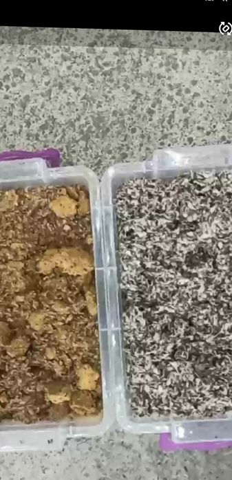 Worxa kunjara yem masulot sifat 100%