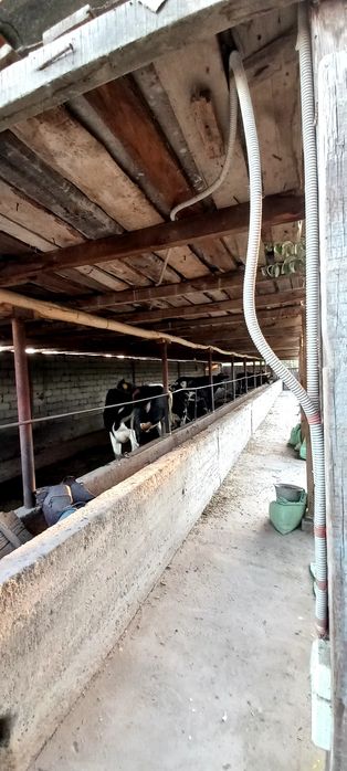 Янги юл.Кирарик 10 и 12  соток земля