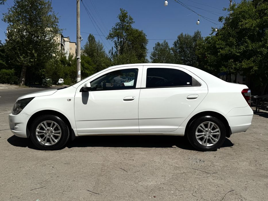 Cobalt 2024 oq style