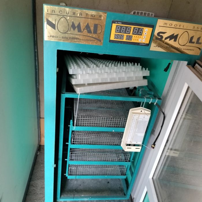 Инкубатор Балапан на 352яиц
