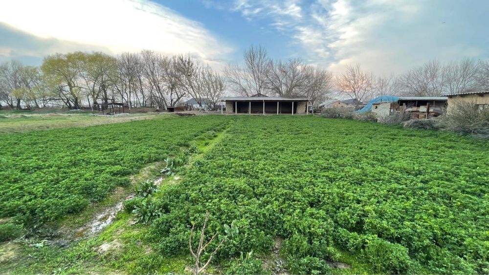 Дом продается. Үй кең.