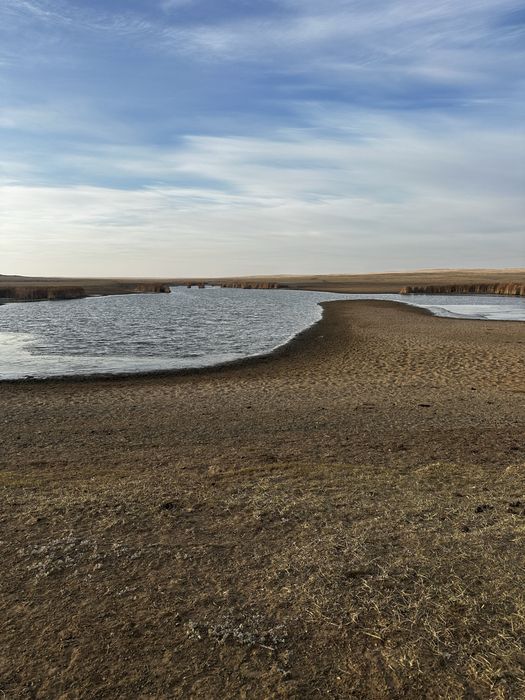 Земля 5.300 гектар