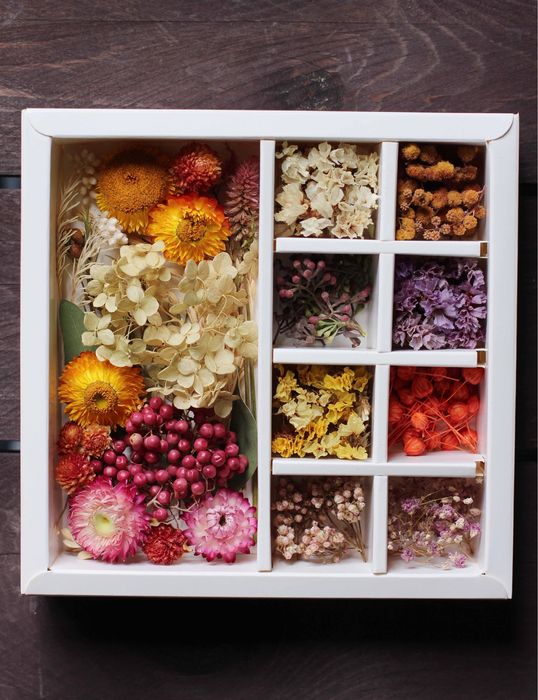 Сухоцветы в наборах