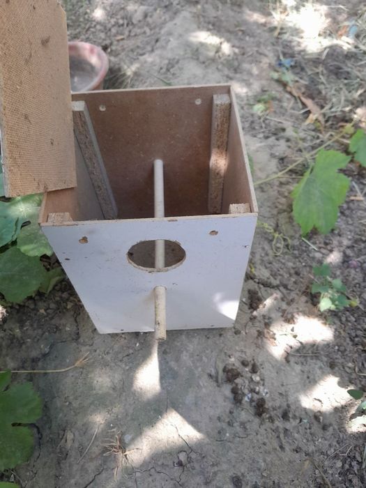 Qushlar uchun kletka inlar dublonkalar