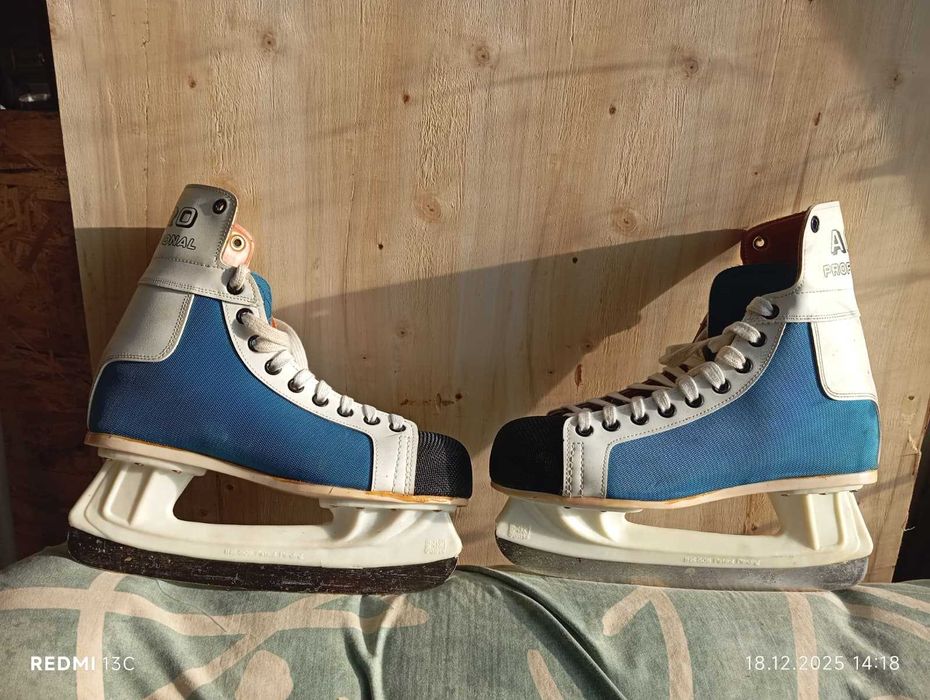 Patine profesionale  ARCO