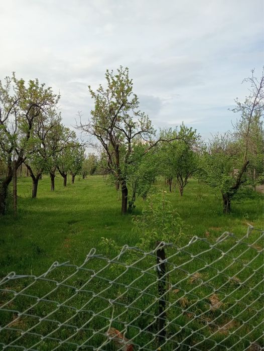 Vand casa Suseni