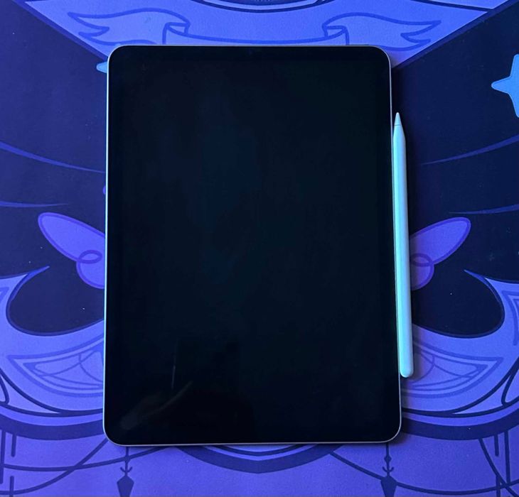 Ipad Air 5 10,9 + 256GB + Apple Pencil + 4 Cases