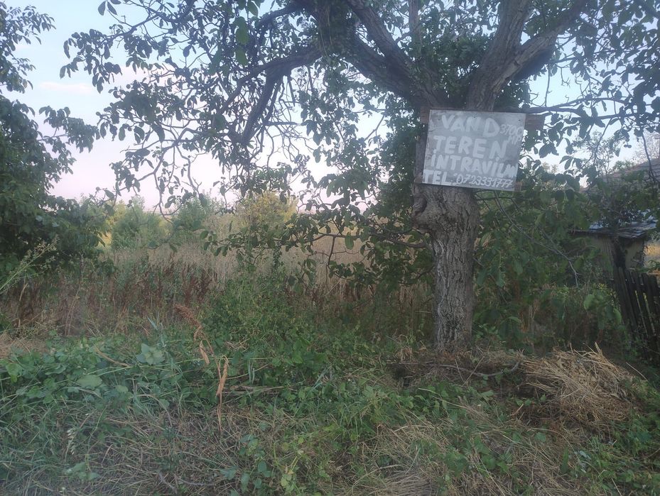 Afacere! Pentru Casa Vacanta