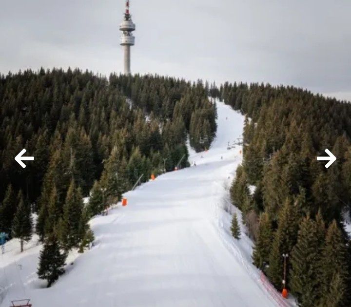 Продава се Парцел в к.к. Пампорово - 332 кв.м за 76 €/кв.м - Снимка #4