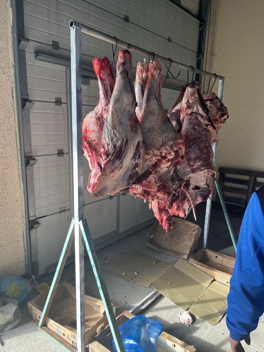 Продам говядина высшак с откорма молодняк