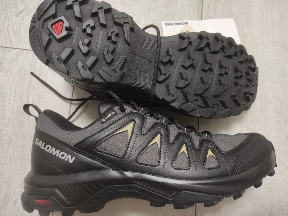 Salomon X Braze GTX