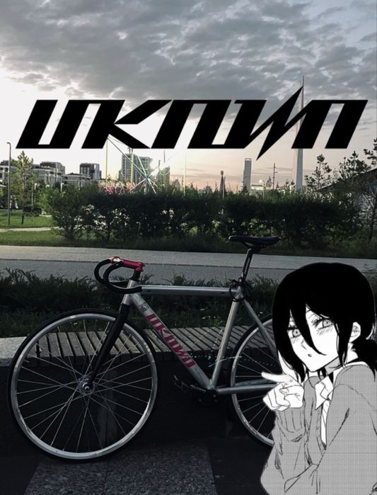 unknown fixed gear