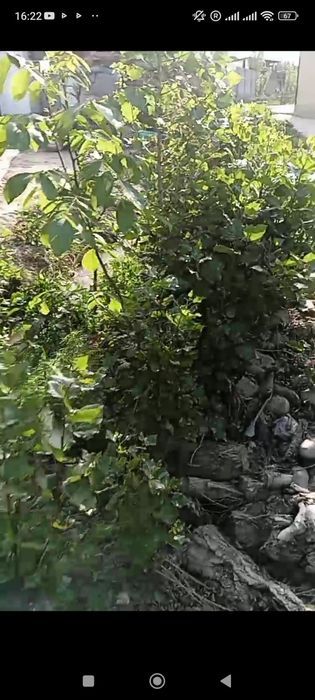 Уйимни сотаман Бозсувда 2 сотик
