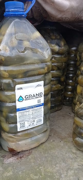 бодринг салит сотилади баклашкаси 40 минг