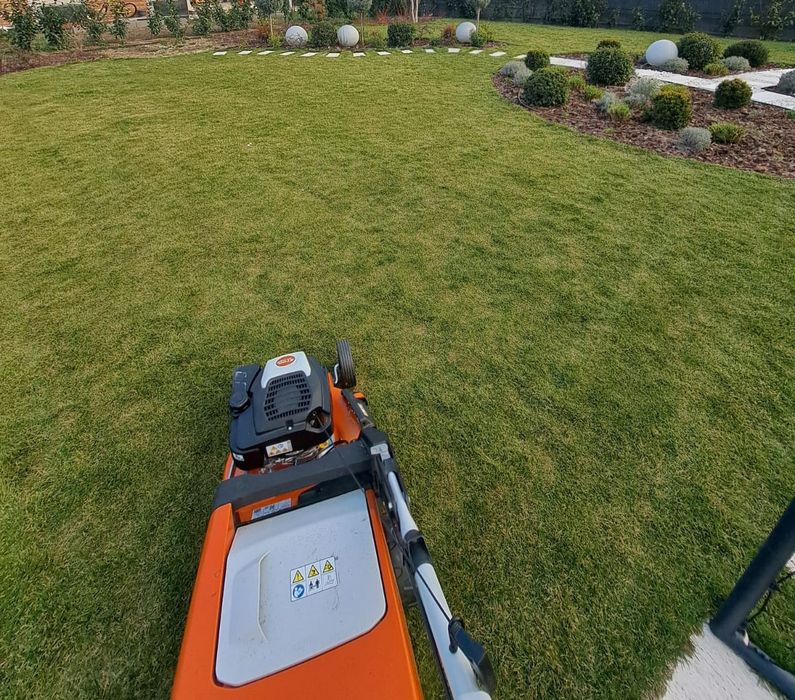 Întreținere curți și spații verzi Vrancea