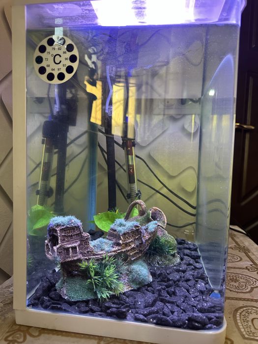 Akvarium 30 litr hamma narsasi bilan