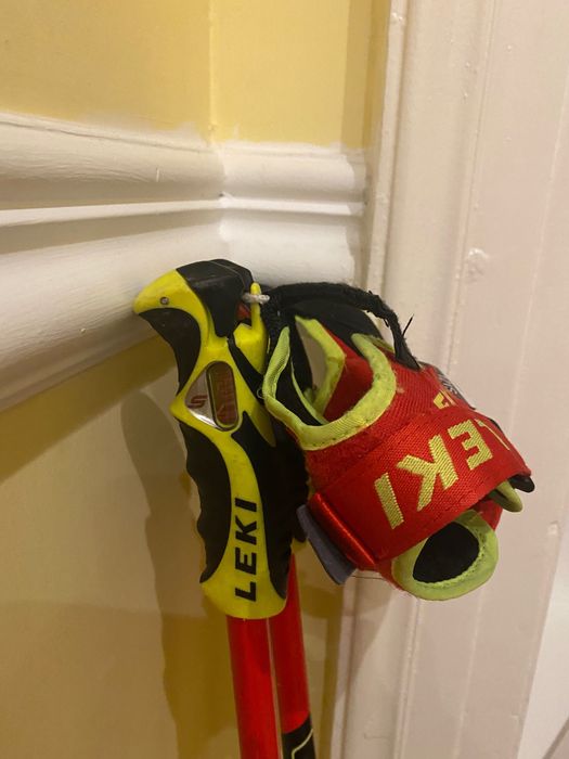 Състезателни ски GS, oбувки FISCHER, протектор за гръб Icetools